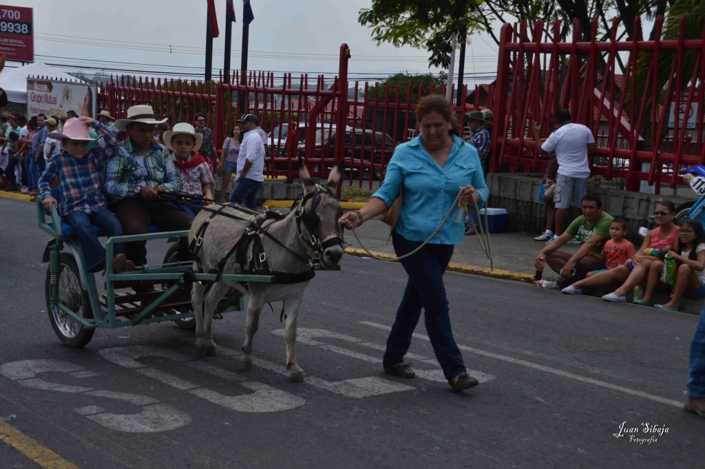 Foto: Tope de Alajuela 2016 -1 - Alajuela, Costa Rica