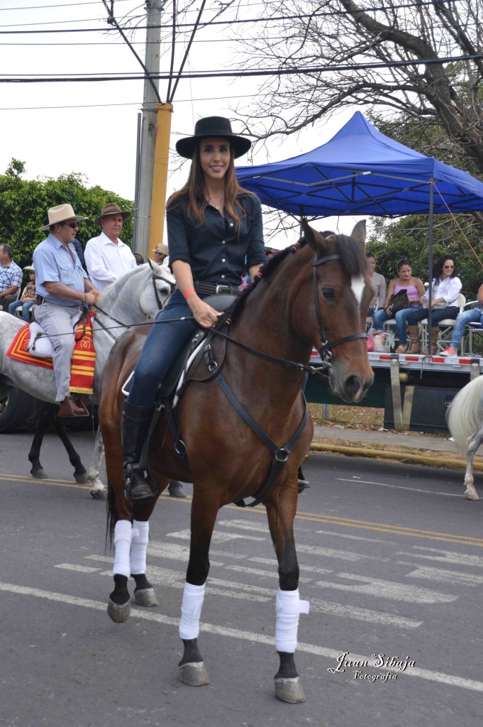 Foto: Tope de Alajuela 2016 -1 - Alajuela, Costa Rica