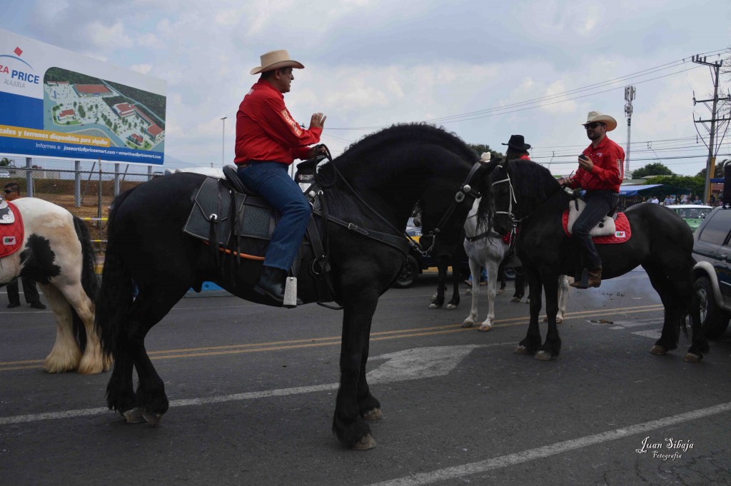 Foto: Tope de Alajuela 2016 -1 - Alajuela, Costa Rica