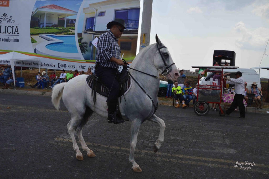 Foto: Tope de Alajuela 2016 -4 - Alajuela, Costa Rica