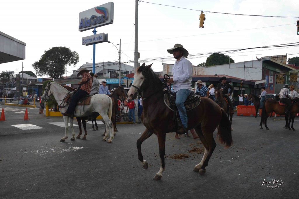 Foto: Tope Alajuela 2016-8 - Alajuela, Costa Rica