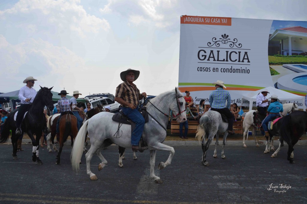 Foto: Tope de Alajuela 2016 -2 - Alajuela, Costa Rica