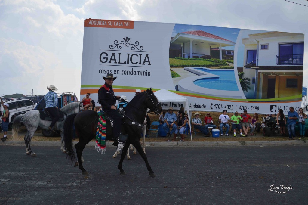 Foto: Tope de Alajuela 2016 -4 - Alajuela, Costa Rica