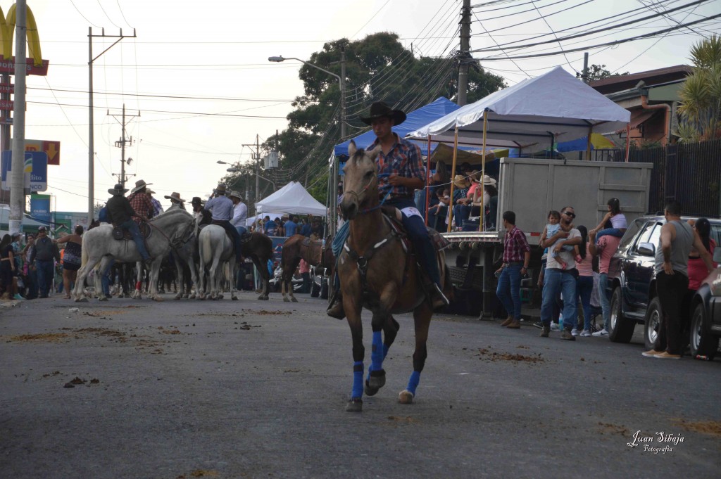 Foto: Tope Alajuela 2016-7 - Alajuela, Costa Rica