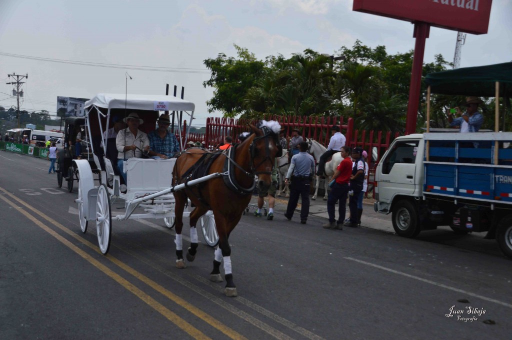 Foto: Tope DE Alajuela 2016 -1 - Alajuela, Costa Rica