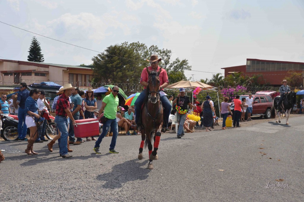 Foto: Tope de Alajuela 2016 -4 - Alajuela, Costa Rica