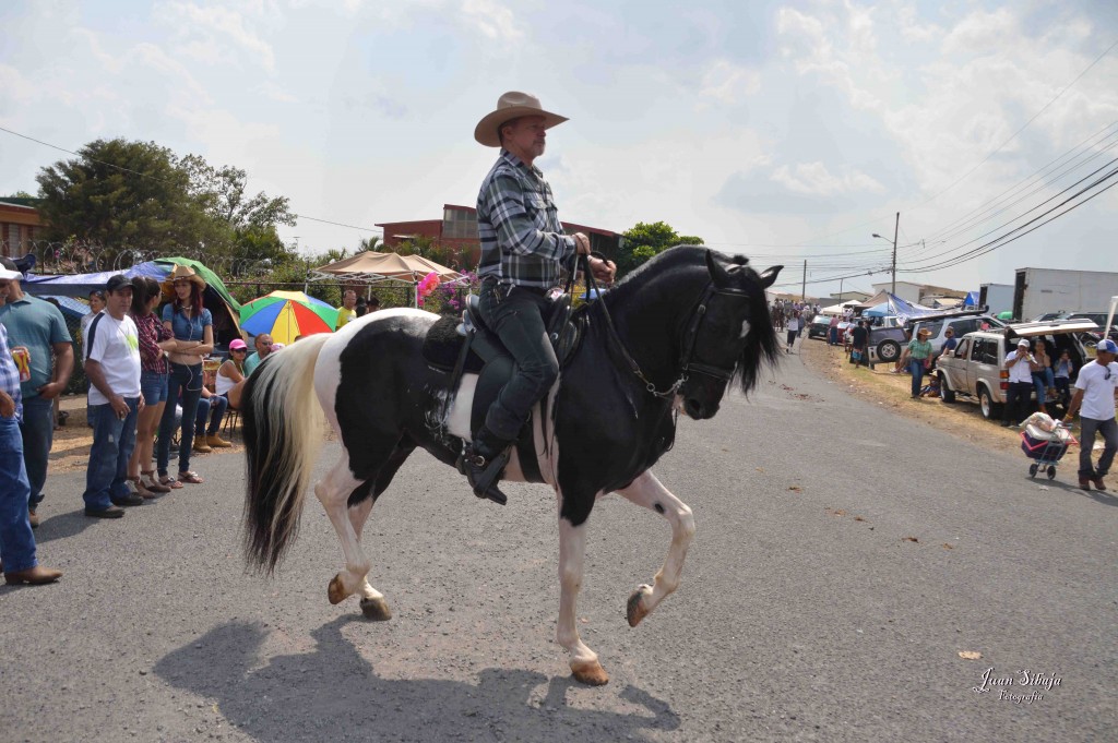 Foto: Tope de Alajuela 2016 -4 - Alajuela, Costa Rica