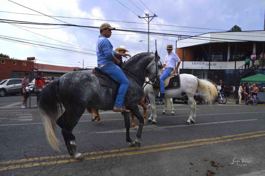 Foto: Tope de Alajuela 2016 -1 - Alajuela, Costa Rica