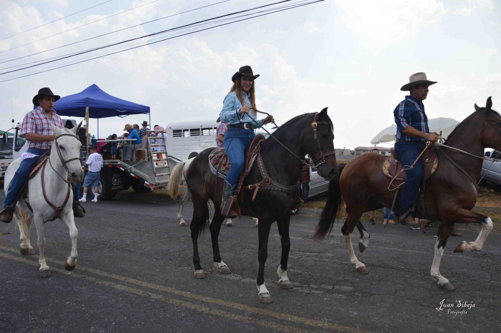 Foto: Tope de Alajuela 2016 -4 - Alajuela, Costa Rica