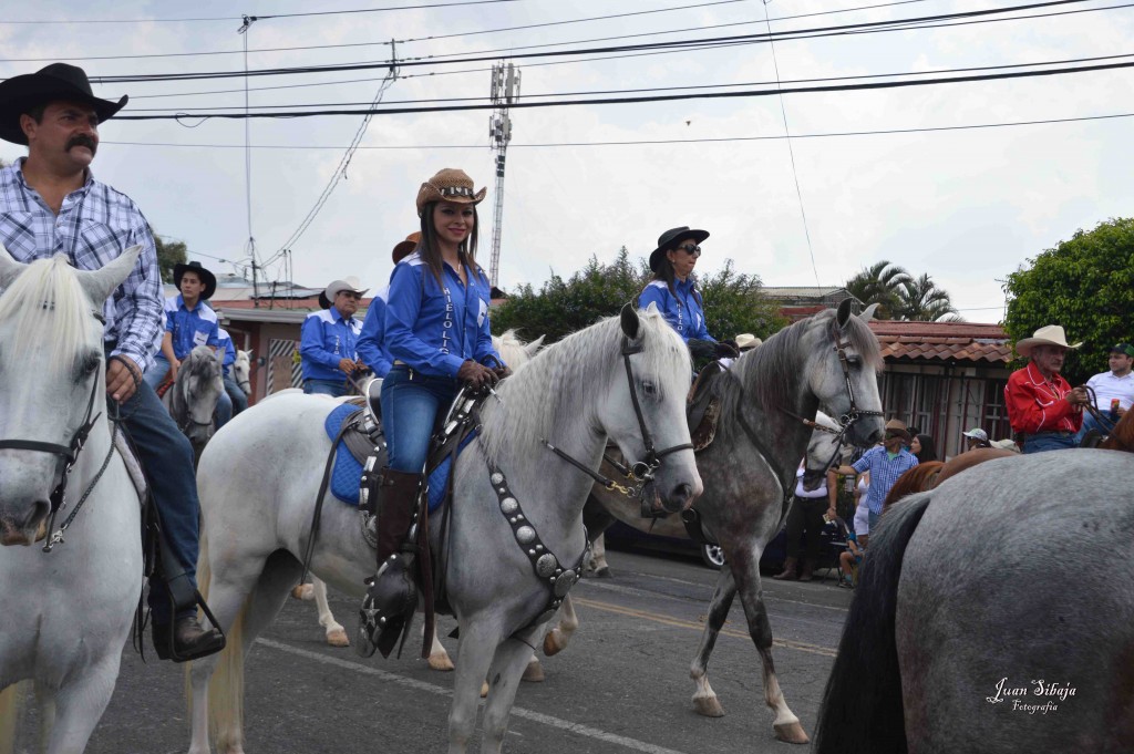 Foto: Tope de Alajuela 2016 -4 - Alajuela, Costa Rica