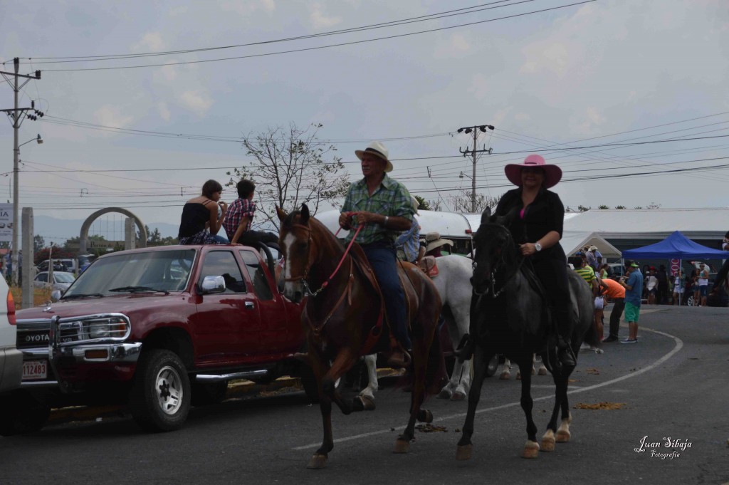 Foto: Tope de Alajuela 2016 -1 - Alajuela, Costa Rica