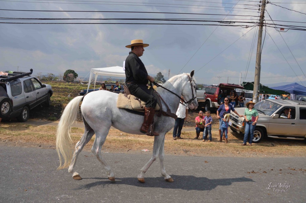 Foto: Tope Alajuela 2016-6 - Alajuela, Costa Rica