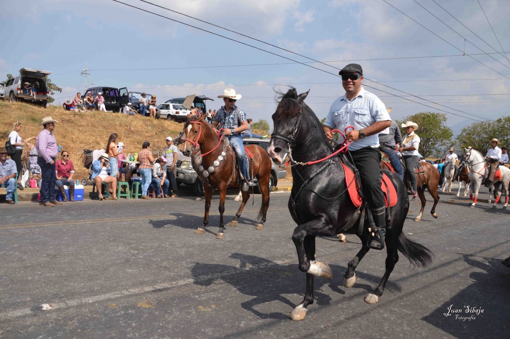 Foto: Tope Alajuela 2016-6 - Alajuela, Costa Rica