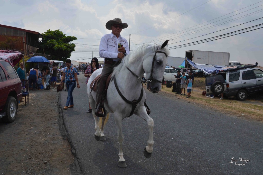 Foto: Tope Alajuela 2016-5 - Alajuela, Costa Rica