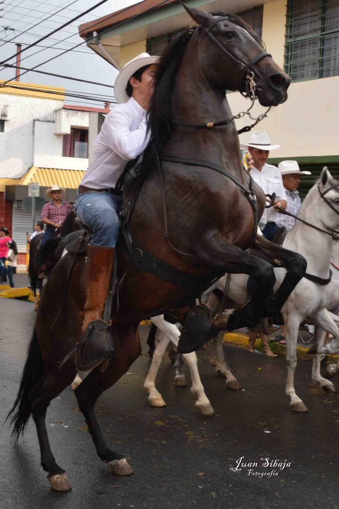 Foto: Tope Alajuela 2016-8 - Alajuela, Costa Rica