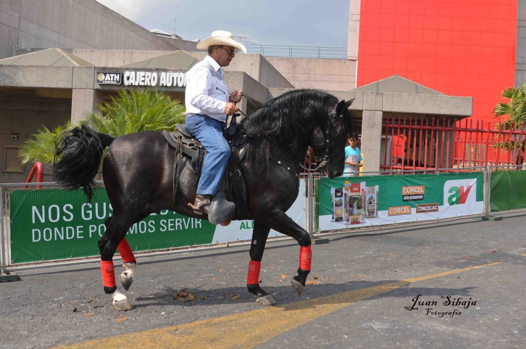 Foto: Tope Alajuela 2016-6 - Alajuela, Costa Rica