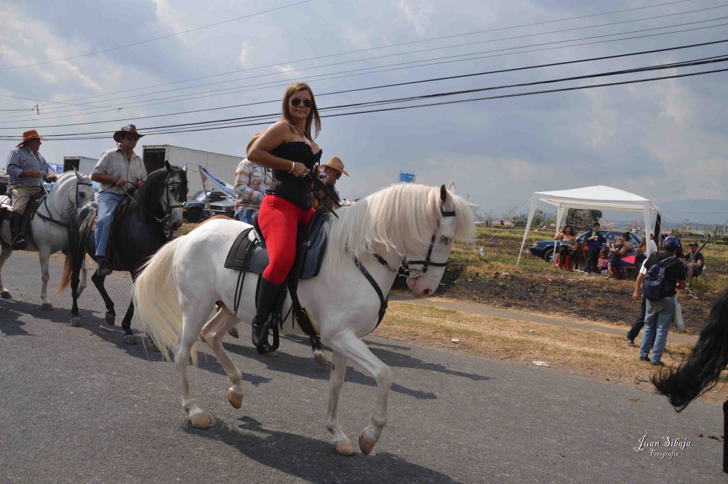 Foto: Tope Alajuela 2016-5  life - Alajuela, Costa Rica