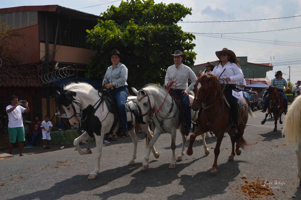 Foto: Tope Alajuela 2016-5 - Alajuela, Costa Rica