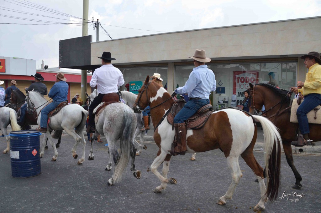 Foto: Tope Alajuela 2016-7 - Alajuela, Costa Rica