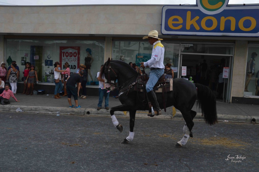 Foto: Tope Alajuela 2016-7 - Alajuela, Costa Rica