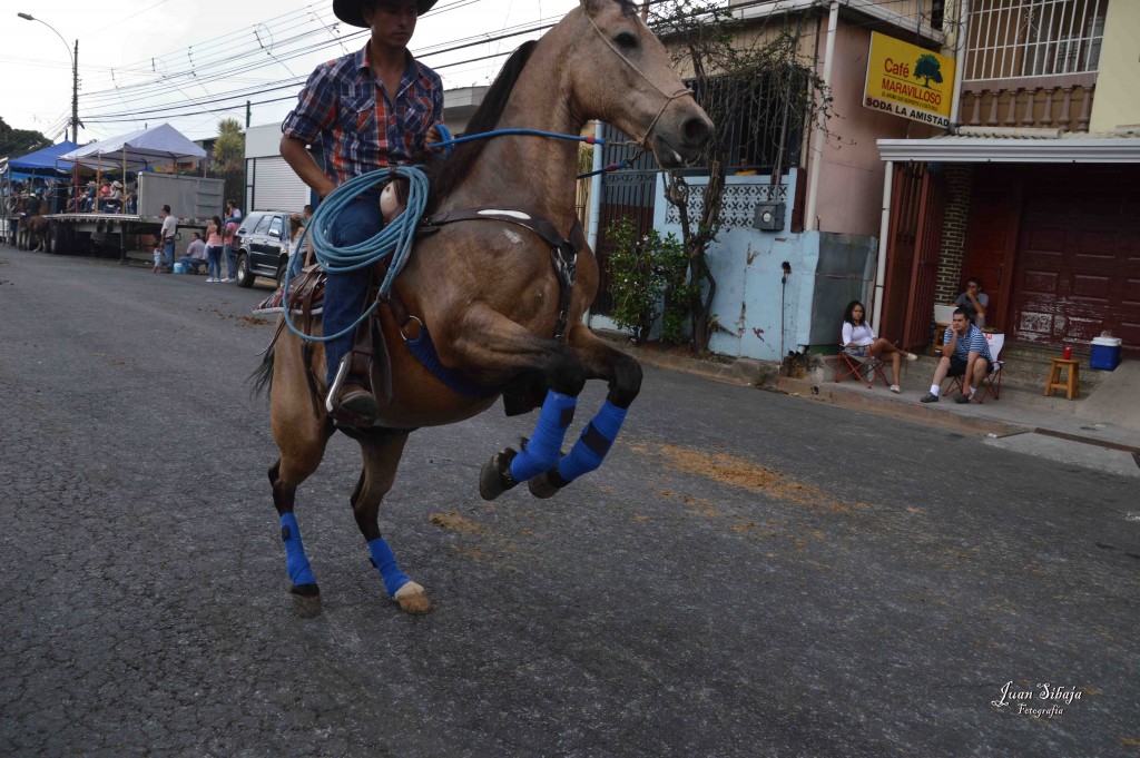 Foto: Tope Alajuela 2016-7 - Alajuela, Costa Rica