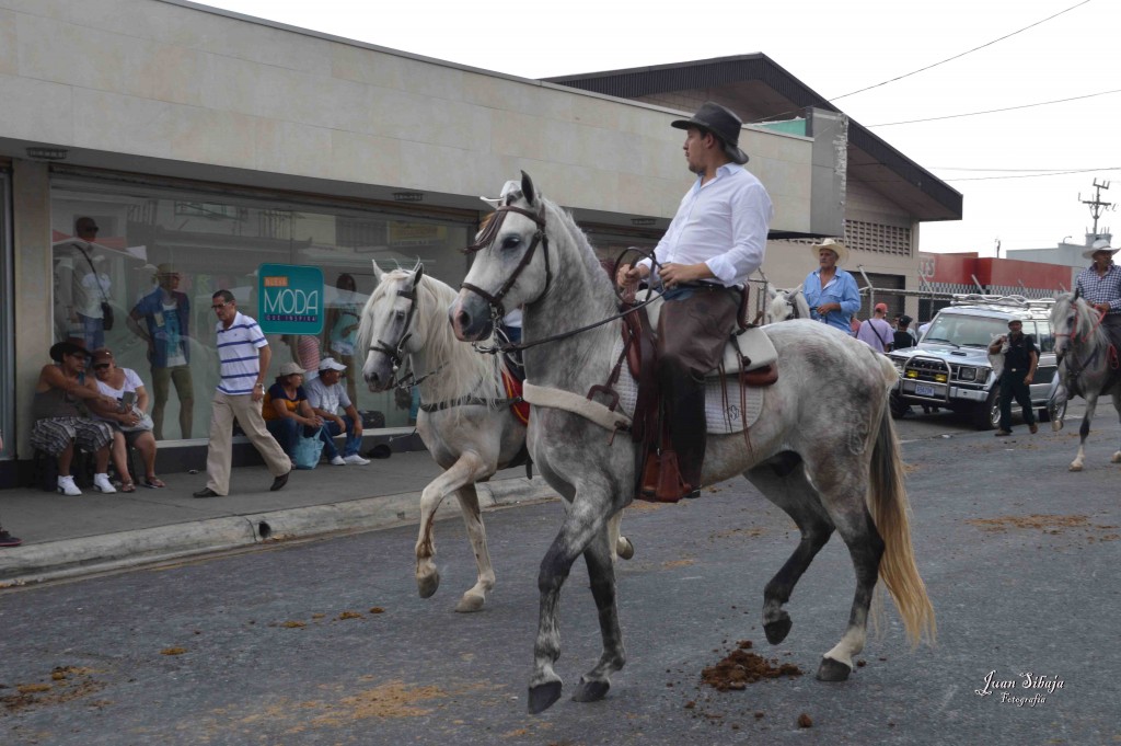 Foto: Tope Alajuela 2016-7 - Alajuela, Costa Rica