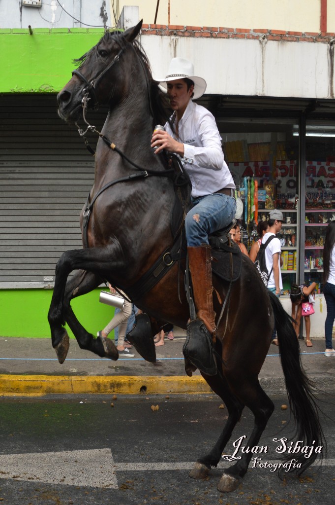 Foto: Tope Alajuela 2016-8 - Alajuela, Costa Rica