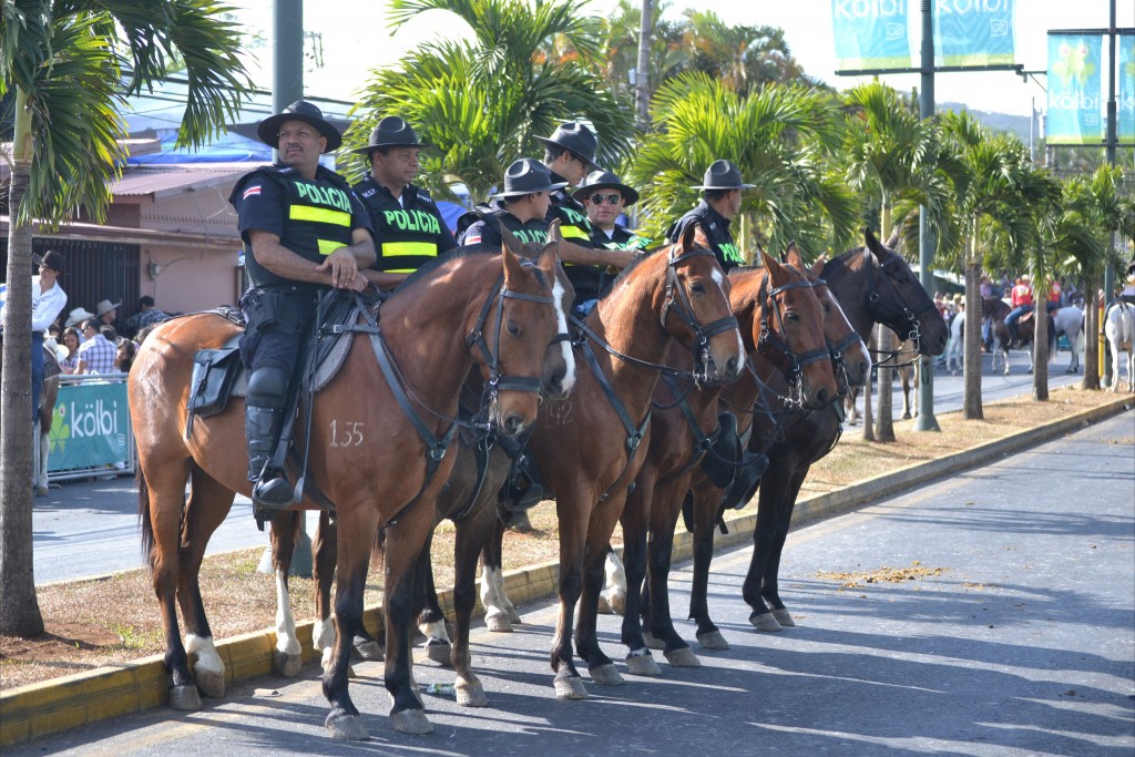 Foto: Tope Palmares 2016-2 - Alajuela, Costa Rica