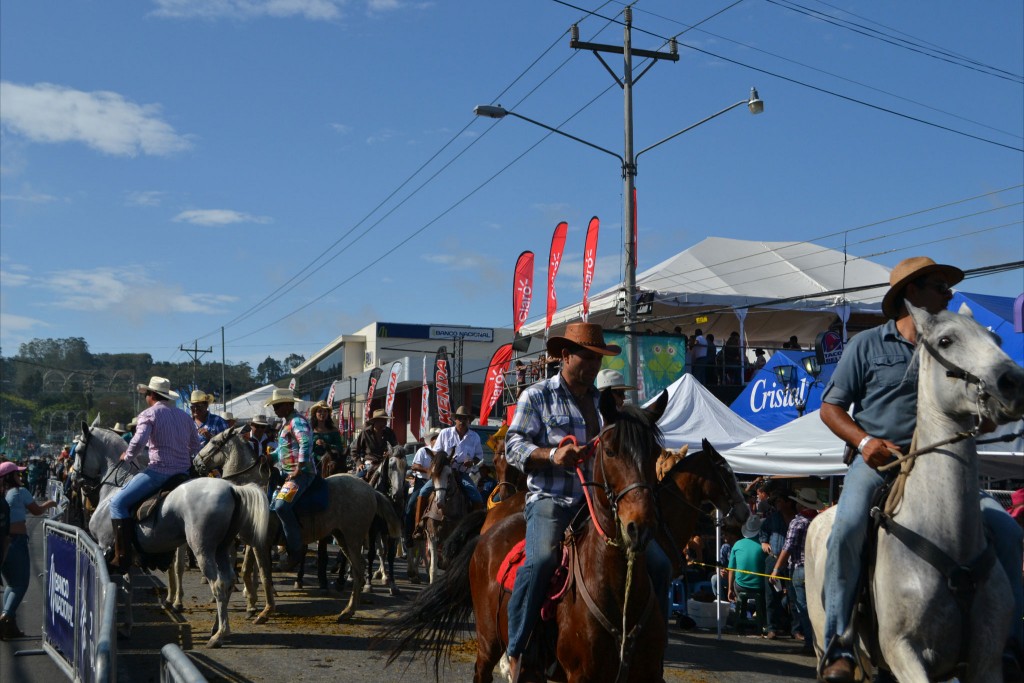 Foto: Tope Palmares 2016-2 - Alajuela, Costa Rica