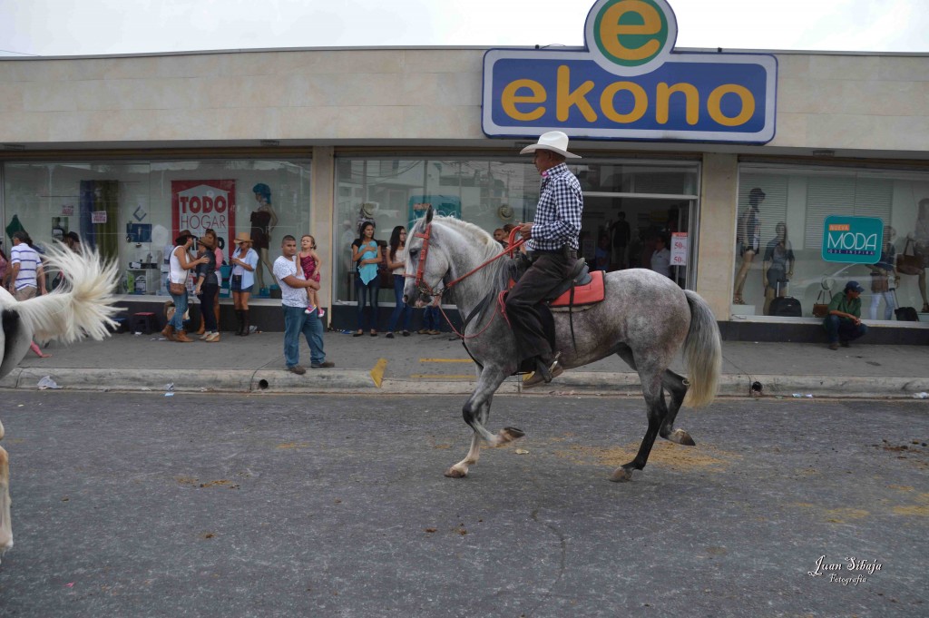 Foto: Tope Alajuela 2016-7 - Alajuela, Costa Rica