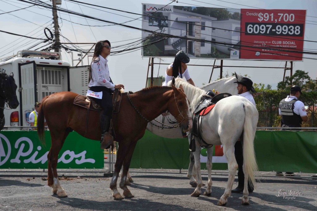 Foto: Tope Alajuela 2016-6 - Alajuela, Costa Rica