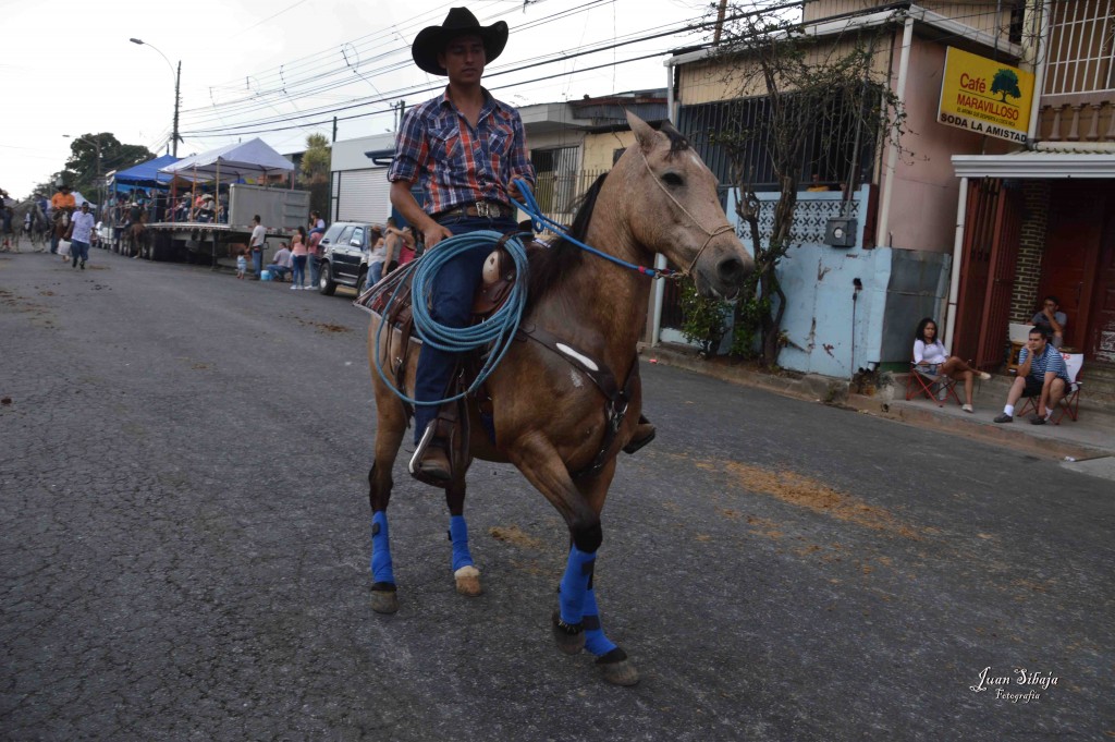 Foto: Tope Alajuela 2016-7 - Alajuela, Costa Rica