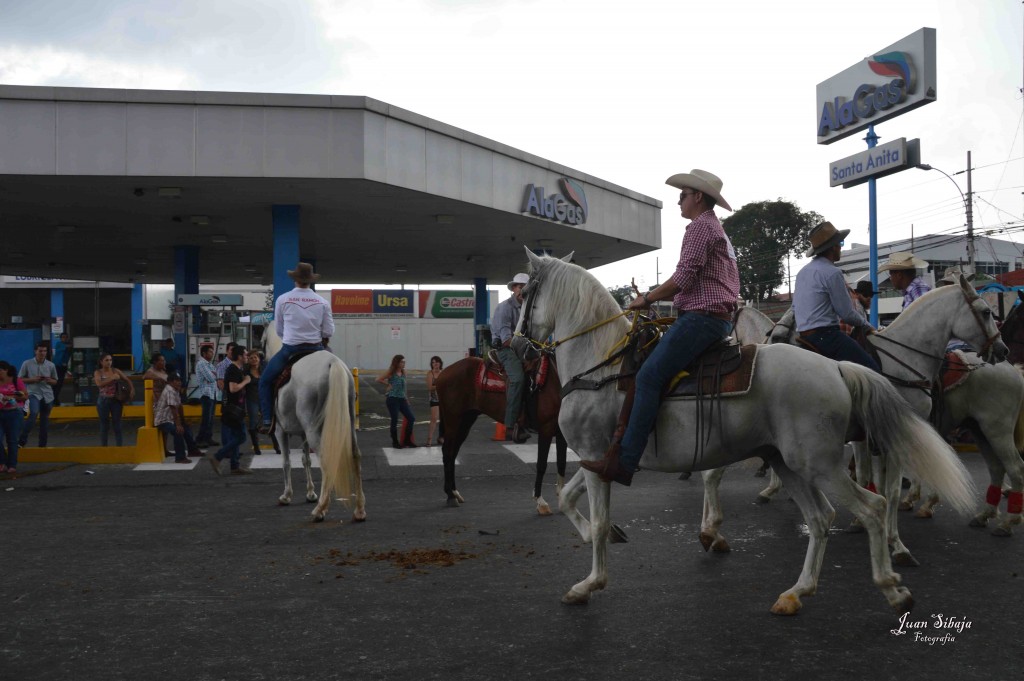 Foto: Tope Alajuela 2016-8 - Alajuela, Costa Rica