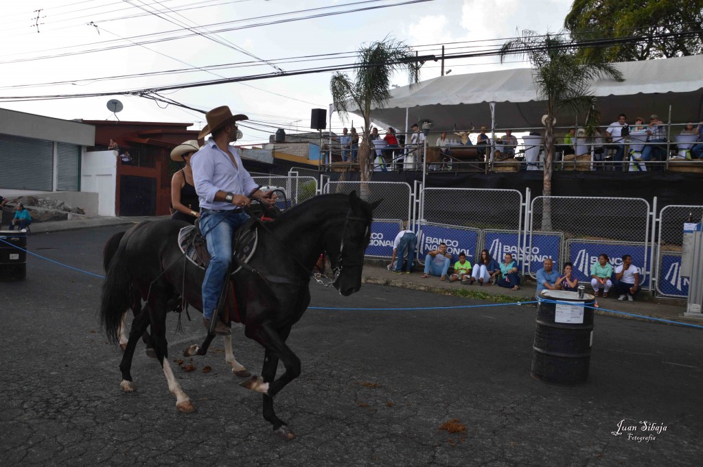 Foto: Tope Alajuela 2016-7 - Alajuela, Costa Rica