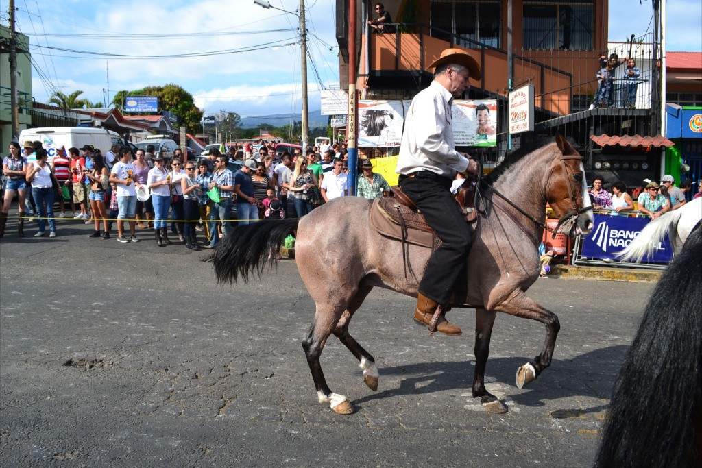 Foto: Tope Sarchi 2013-3 - Alajuela, Costa Rica