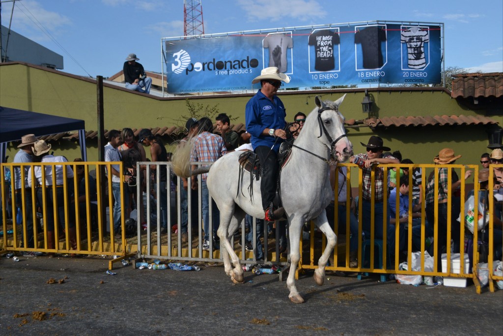 Foto: Tope Palmares 2016-9 - Alajuela, Costa Rica