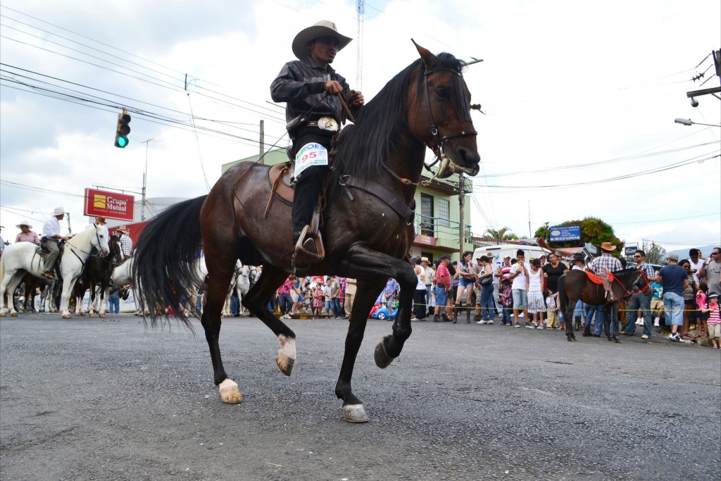 Foto: Tope Sarchi 2013-3 - Alajuela, Costa Rica