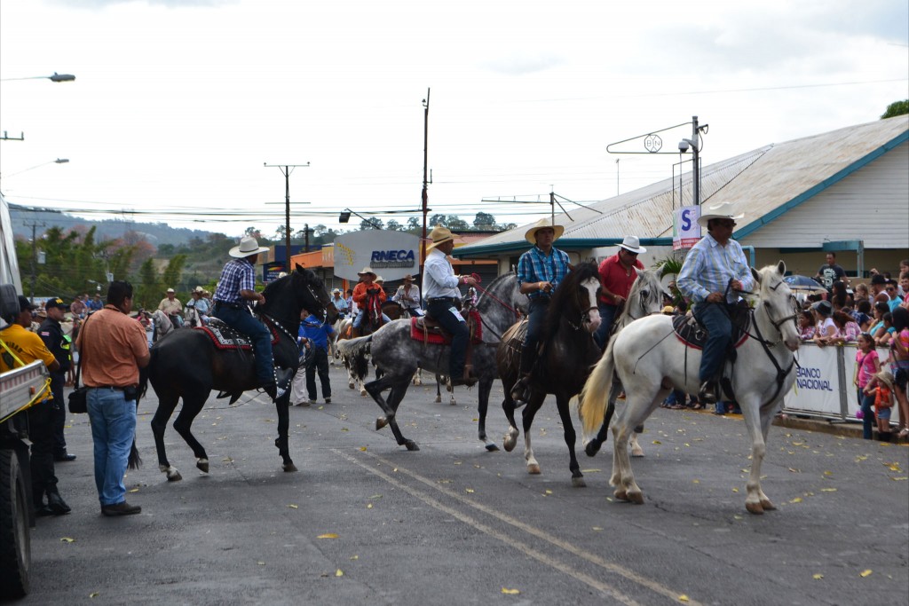 Foto: TOPE SARCHI 2013-1 caballo - Alajuela, Costa Rica