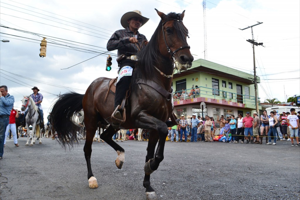 Foto: Tope Sarchi 2013-3 - Alajuela, Costa Rica