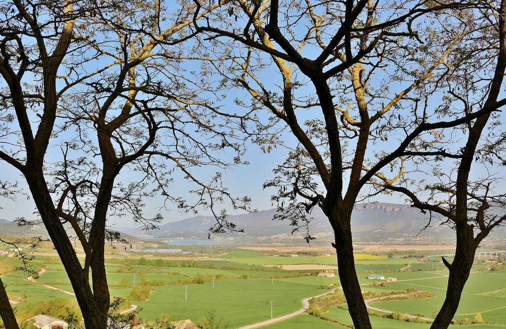 Foto: Paisaje - Artieda (Zaragoza), España