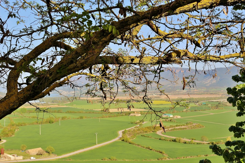 Foto: Paisaje - Artieda (Zaragoza), España