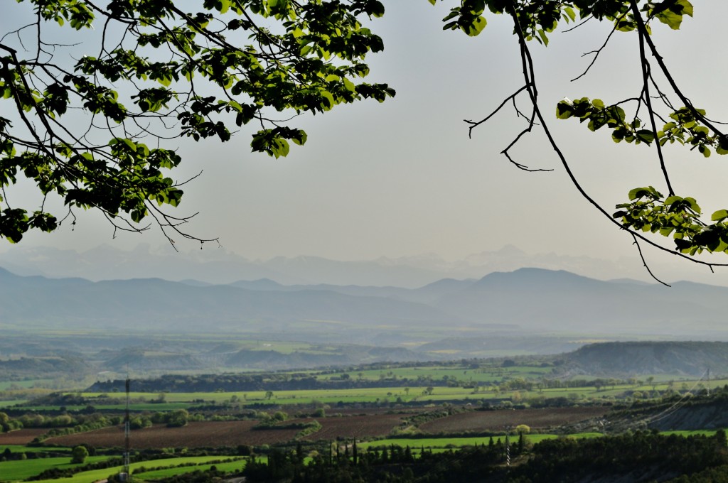 Foto: Paisaje - Artieda (Zaragoza), España