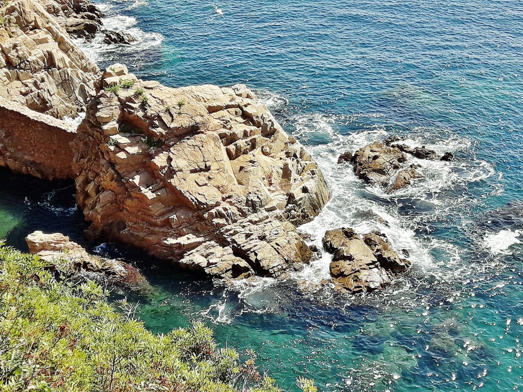 Foto: Jardín botánico - Blanes (Girona), España