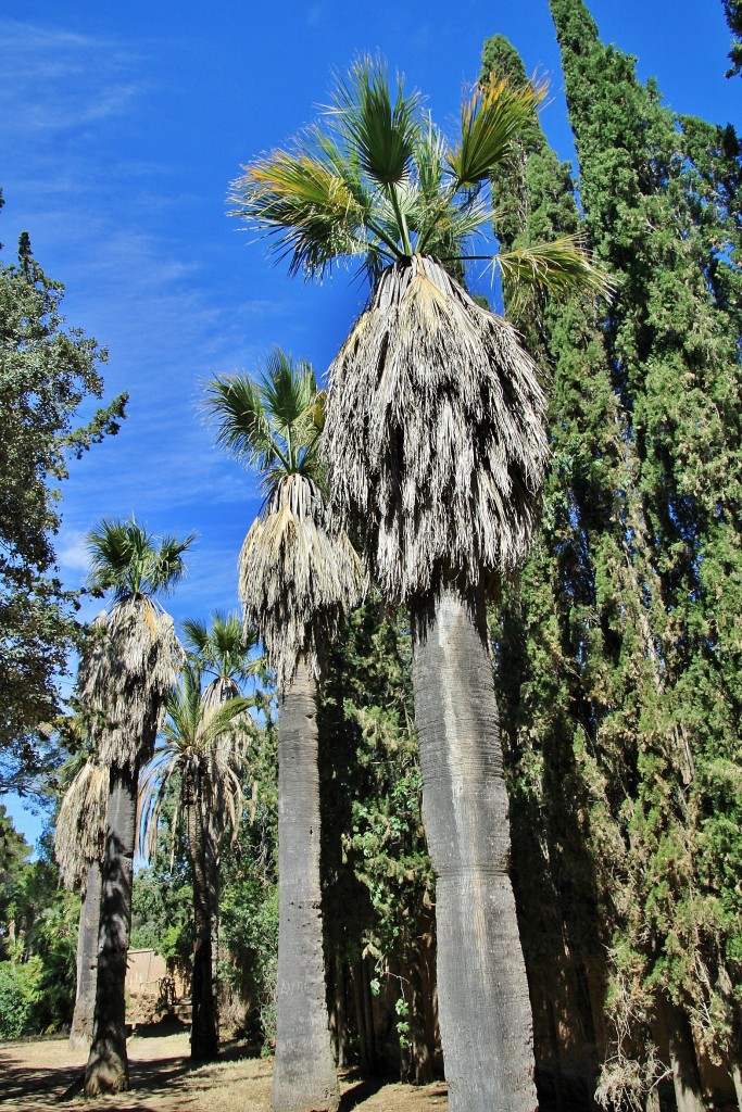 Foto: Parque Samá - Cambrils (Tarragona), España