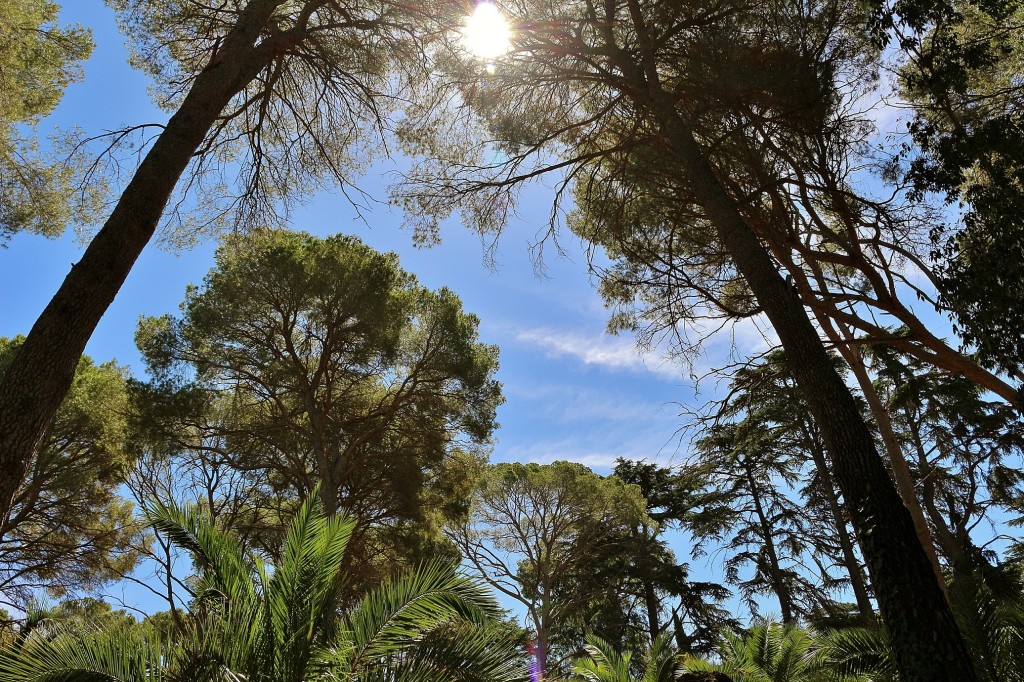 Foto: Parque Samá - Cambrils (Tarragona), España