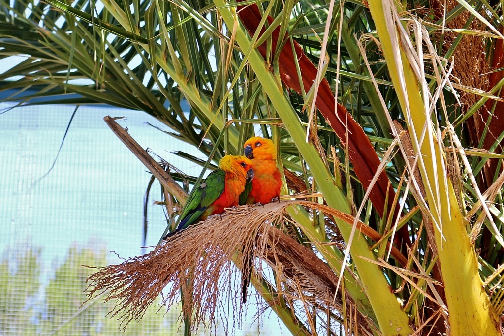 Foto: Parque Samá - Cambrils (Tarragona), España