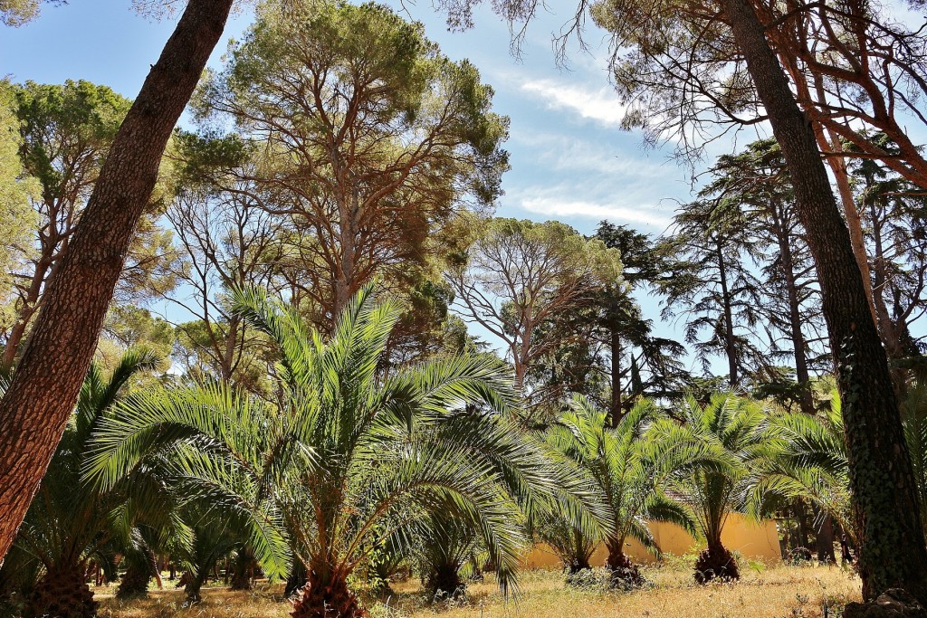 Foto: Parque Samá - Cambrils (Tarragona), España