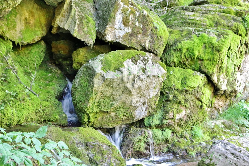 Foto: Fuentes del río Llobregat - Castellar de n´Hug (Barcelona), España