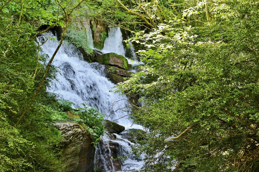 Foto: Fuentes del río Llobregat - Castellar de n´Hug (Barcelona), España