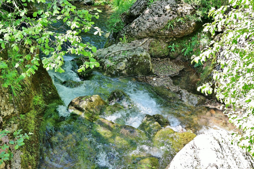 Foto: Fuentes del río Llobregat - Castellar de n´Hug (Barcelona), España